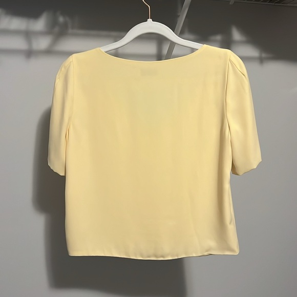 Babaton Randy Blouse - Picture 3 of 3